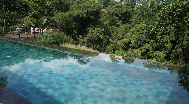 Infinity Pool